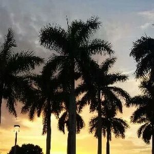 Meet your Posher, Ginalouise